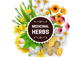 Illustration of various medicinal herbs and flowers arranged around a central label reading 'Medicinal Herbs'.