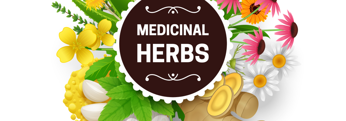 Illustration of medicinal herbs including garlic, ginger, daisies, echinacea, and other colorful flowers surrounding a dark circular label that reads 'Medicinal Herbs'.