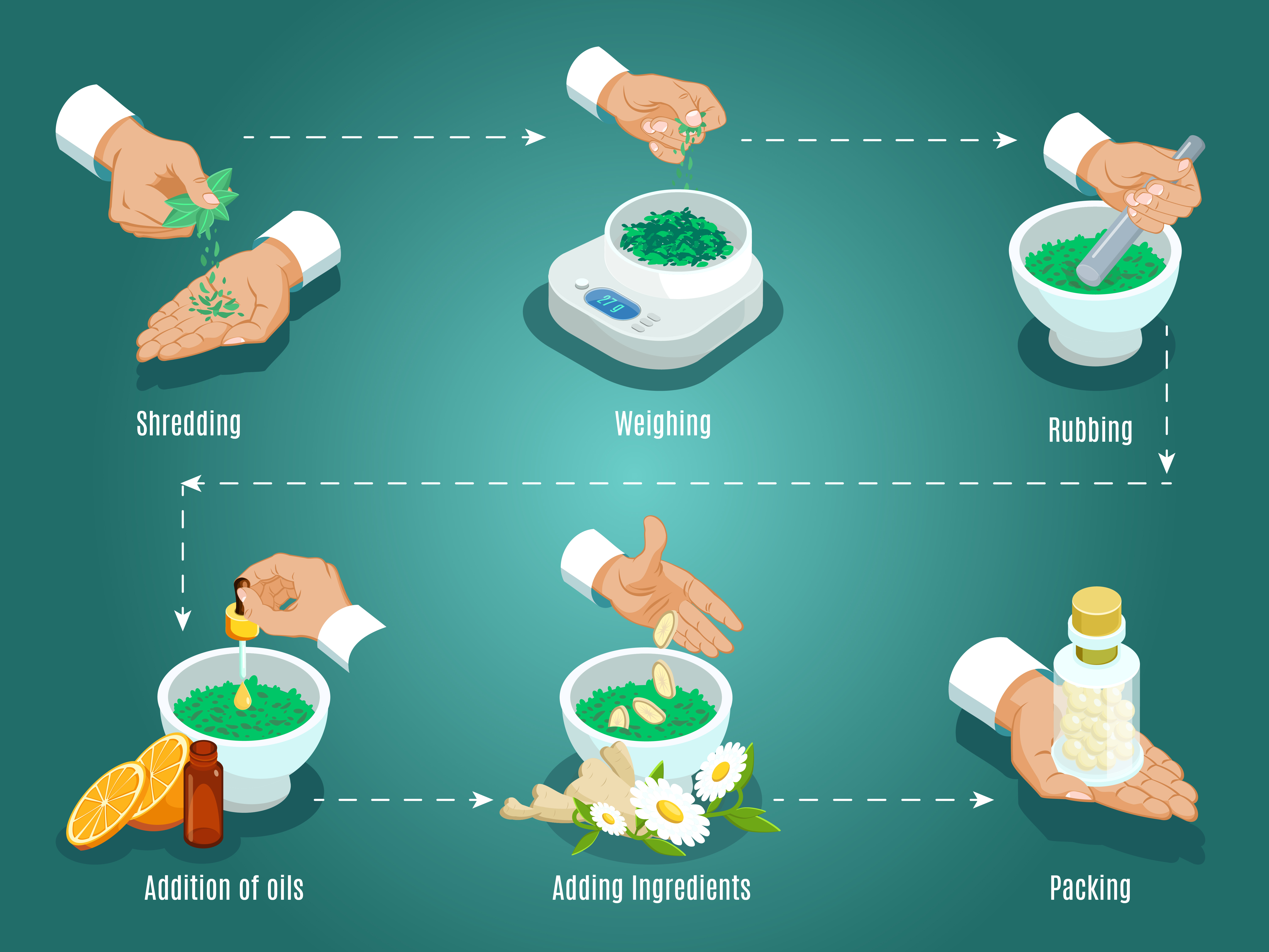 Illustration of a step-by-step process making herbal capsules: shredding leaves, weighing herbs, rubbing in a mortar, adding oils, mixing ingredients, and packing pills in a bottle.